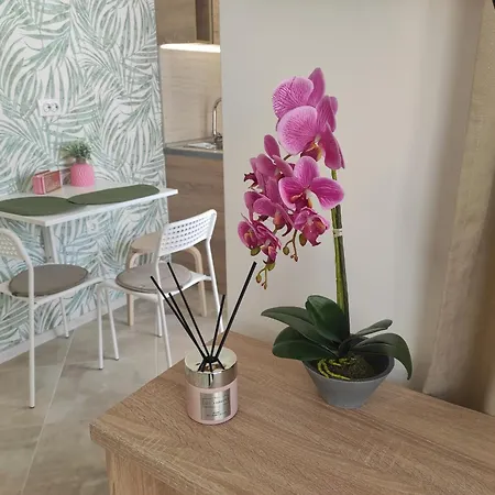 студио плумерия / Plumeria *