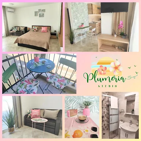 студио плумерия / Plumeria * אובזור