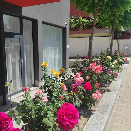 דירה студио плумерия / Plumeria